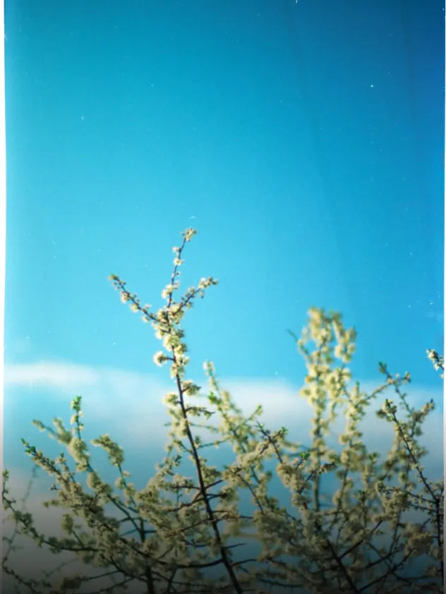 CPL CIRCULAR POLARIZER FILTER collection